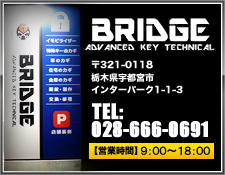 BRIDGE